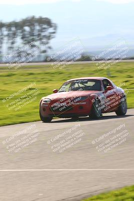 media/Feb-25-2024-CalClub SCCA (Sun) [[3c767ec4f8]]/Group 7/Race (Start Finish)/